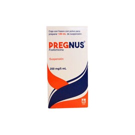 PREGNUS 250MG/5ML SUSP PVO 120ML