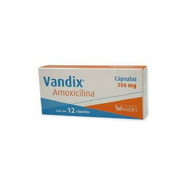 AMOXICILINA 250 MG 12 CAPS  LGEN