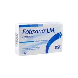 FOTEXINA IM 1G F A 1X4ML