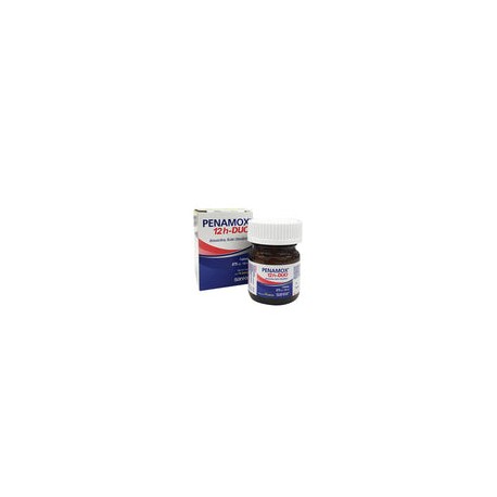 PENAMOX 12H-DUO 875/125MG 14TAB