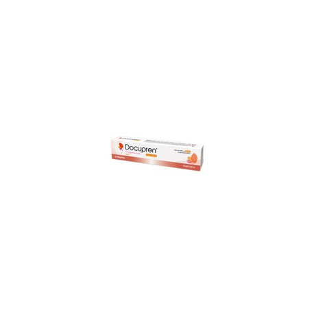 DOCUPREN 1/100G GEL TB 80G