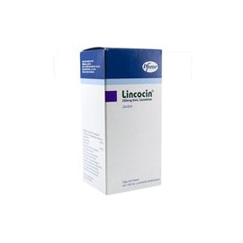 LINCOCIN 5 G JBE 100 ML