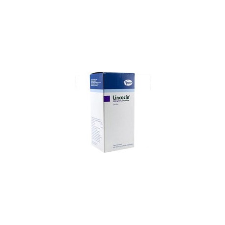 LINCOCIN 5 G JBE 100 ML
